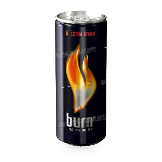 BOISSON ENERGETIQUE 25CL BURN