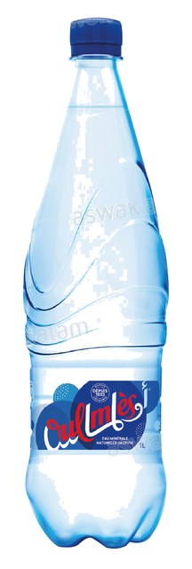 EAU GAZEUSE 1L OULMES