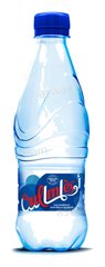 Eau Gazeuse 33 cl Oulmes