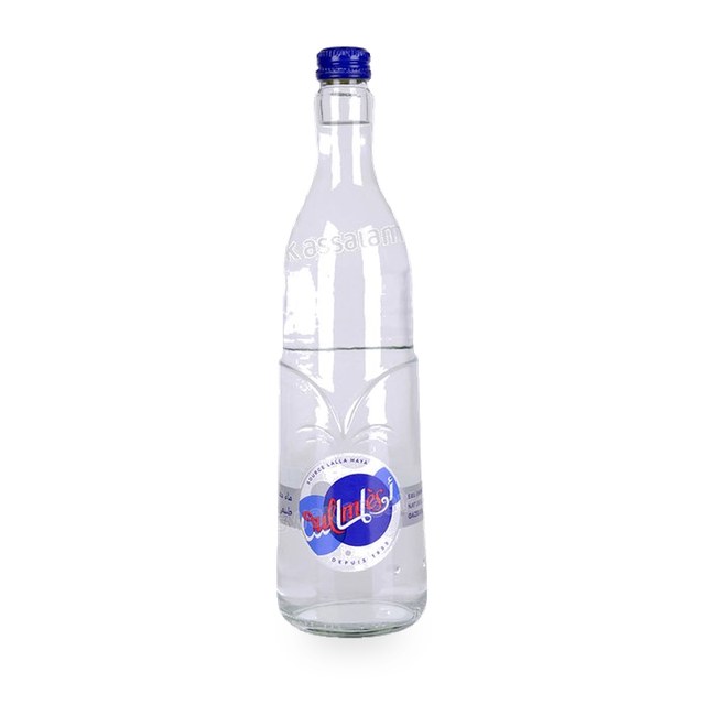 EAU GAZEUSE BOUTEILLE EN VERRE 75CL OULMES