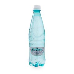 Eau Gazeuse Legere 50 cl Oulmes