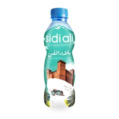 Eau Minerale Naturelle 33 cl Kids Sidi Ali