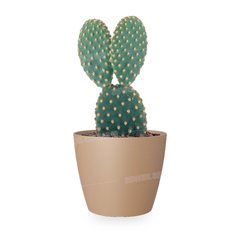 POT DE FLEURS BEIGE 14CM SAN REMO
