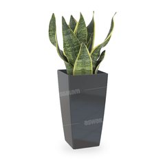 POT DE FLEURS CARRE 25CM ANTHRACITE PISA