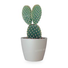 POT DE FLEURS GRIS 16CM SAN REMO