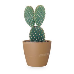 POT DE FLEURS JAUNE MOUTARDE 14CM SAN REMO