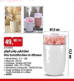 Mini humidificateur et diffuseur Heifer – 230 ml