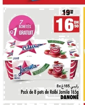 Raibi Jamila DANONE – Lot de 8 x 165 g