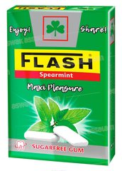 CHEWING-GUM SPEARMINT SANS SUCRE DRAGEES 25G FLIP-TOP FLASH