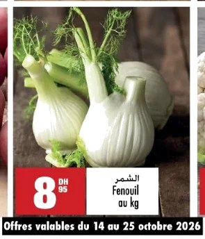 Fenouil – (prix au kg)
