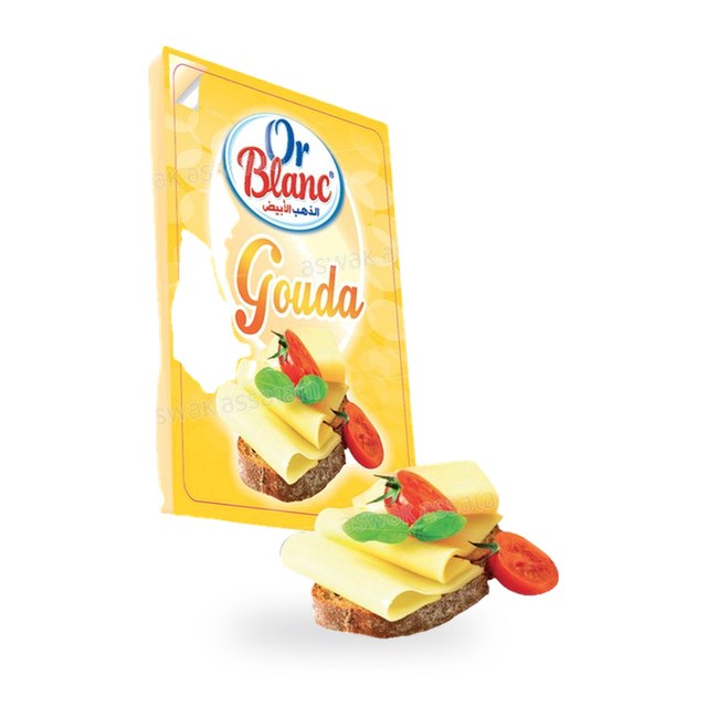 FROMAGE GOUDA EN TRANCHES 100G OR BLANC
