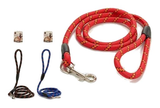Laisse en Rayures pour Chien de Taille Medium