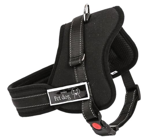 Harnais pour Chien Noir