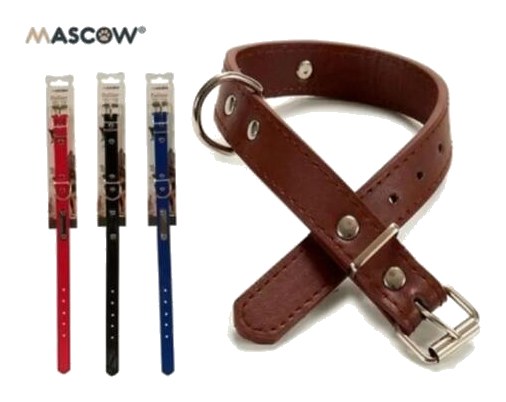 Collier pour Chien Confortable