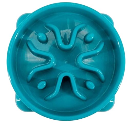 Gamelle pour Chat Anti-Glouton Carrefour
