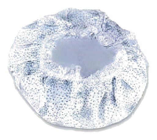 Bonnet de Douche Lionesse