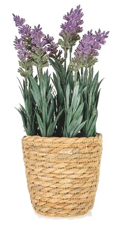 Plante Lavande Artificielle avec Pot Tissé Kasa 30 cm