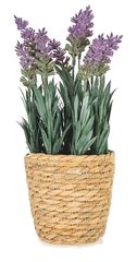 Plante Lavande Artificielle avec Pot Tissé Kasa 30 cm