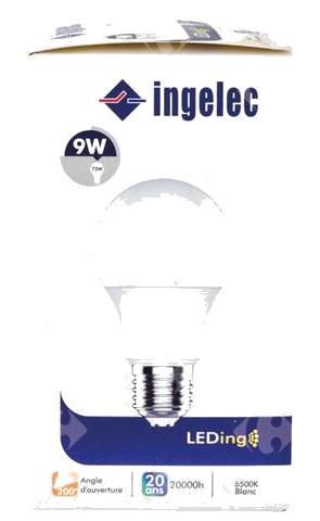 Lampe Led Filetage Blanche A60 09W E27