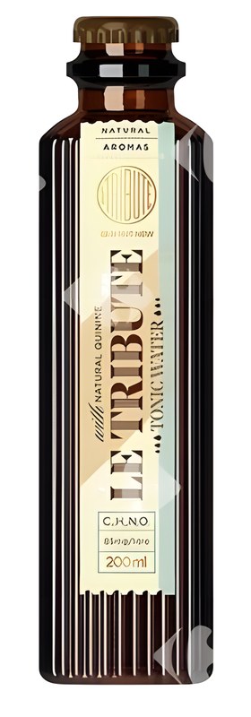 Boisson Dry Ginger Le Tribute 200 ml