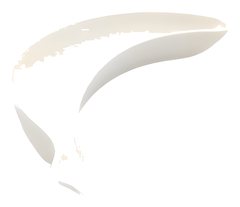 Assiettes de Présentation en Porcelaine