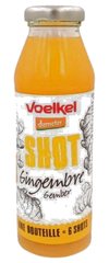 Shot Gingembre Bio Voelkel 28 cl